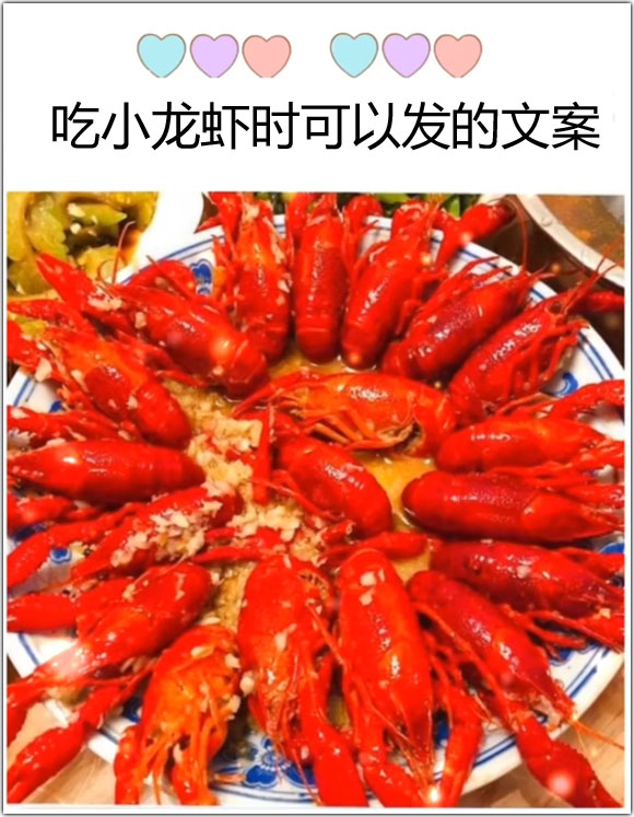 吃龙虾文案_丛林法则吃特别大龙虾_澳洲龙虾三吃是哪三吃
